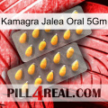 Kamagra Oral Jelly 5Gm cialis2